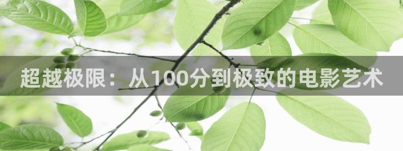 嫩草国产精品影院：超越极限：从100分到极致的电影艺术