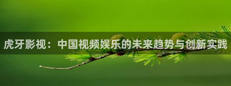 51嫩草影院在线观看